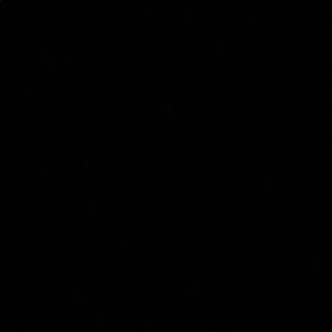 Meet your Posher, Allen